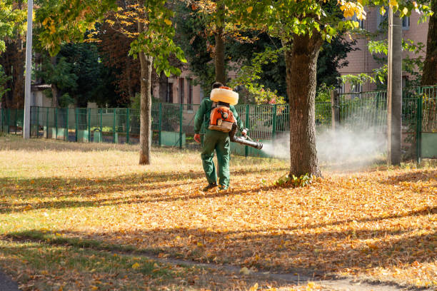 Bird Control in Valley Forge, TN