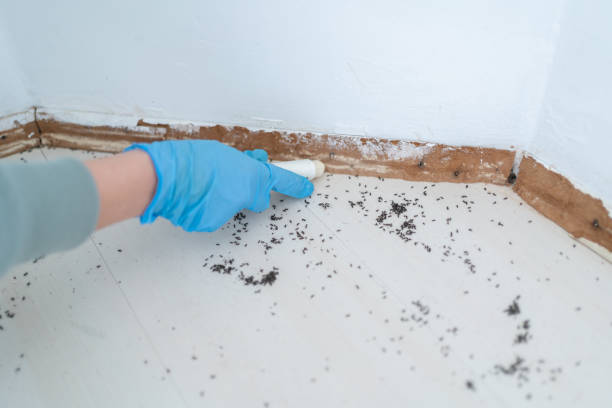 Best Pest Removal Services  in Valley Forge, TN