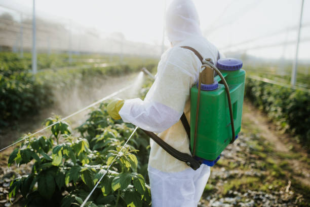 Professional Pest Control in Valley Forge, TN